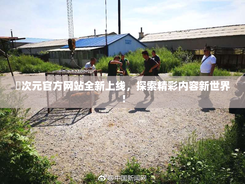 囧次元官方网站全新上线，探索精彩内容新世界！