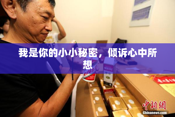 我是你的小小秘密，倾诉心中所想