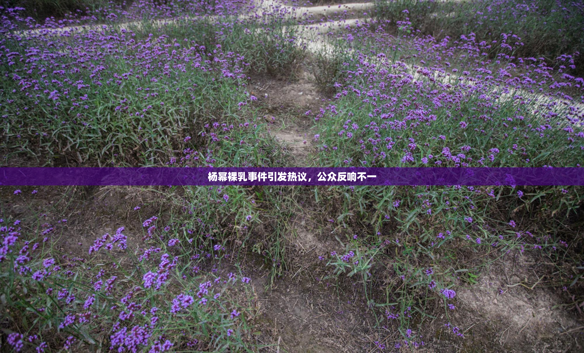 杨幂裸乳事件引发热议，公众反响不一