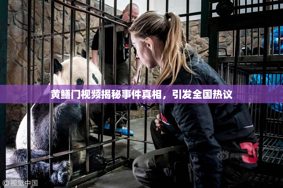 黄鳝门视频揭秘事件真相，引发全国热议