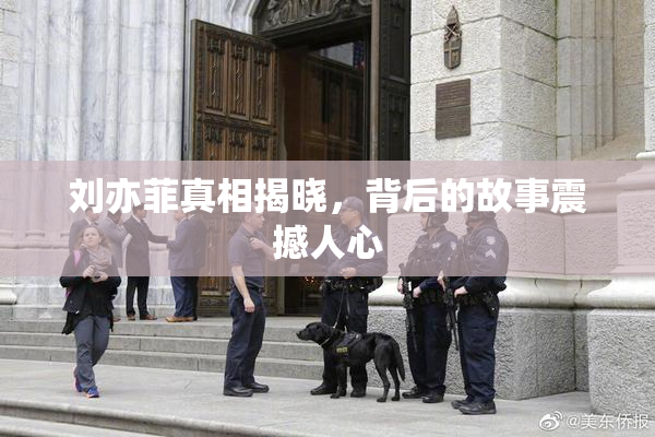 刘亦菲真相揭晓，背后的故事震撼人心