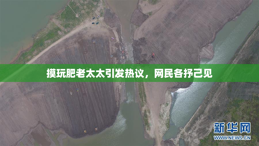 摸玩肥老太太引发热议，网民各抒己见