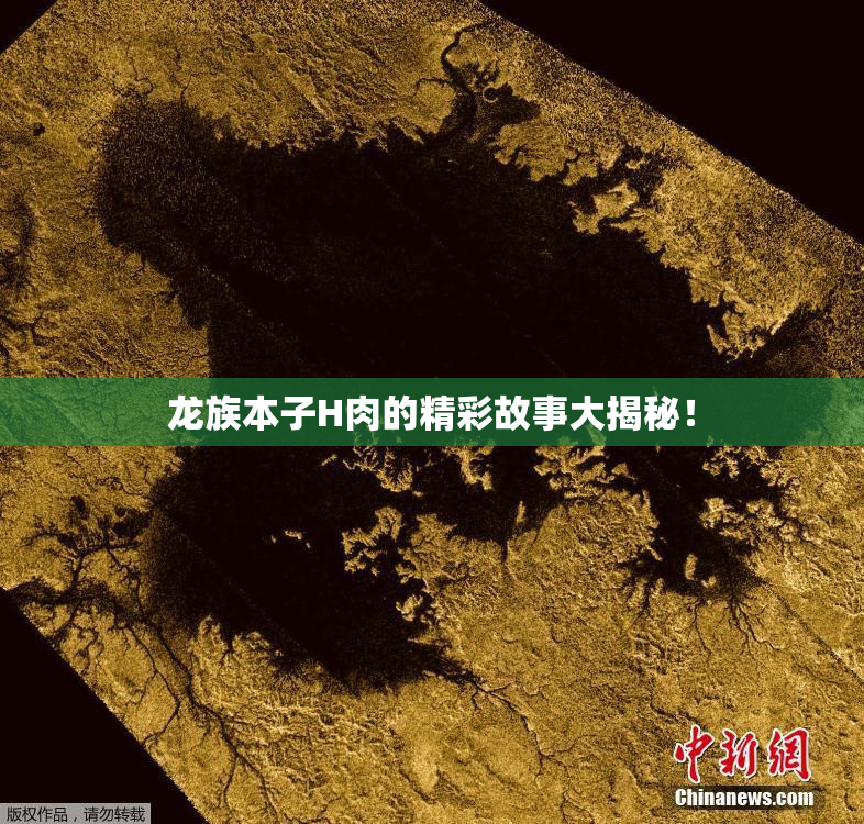 龙族本子H肉的精彩故事大揭秘！