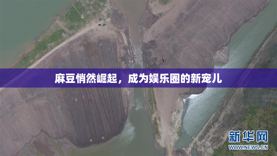 麻豆悄然崛起，成为娱乐圈的新宠儿