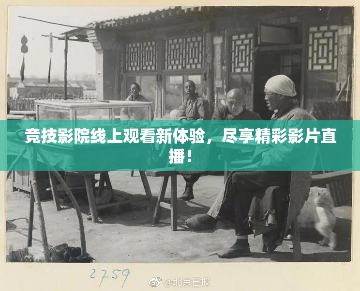 竞技影院线上观看新体验，尽享精彩影片直播！