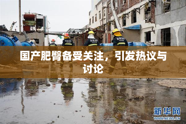 国产肥臀备受关注，引发热议与讨论