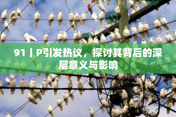 91丨P引发热议，探讨其背后的深层意义与影响