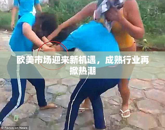 欧美市场迎来新机遇，成熟行业再掀热潮