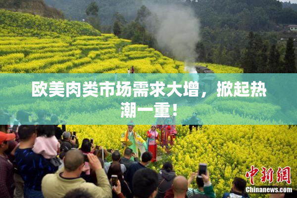欧美肉类市场需求大增，掀起热潮一重！
