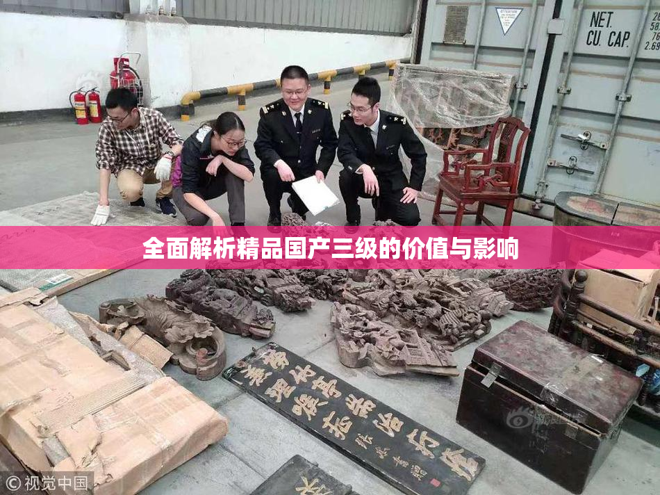 全面解析精品国产三级的价值与影响