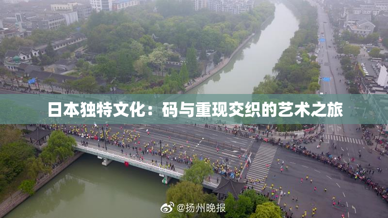 日本独特文化：码与重现交织的艺术之旅