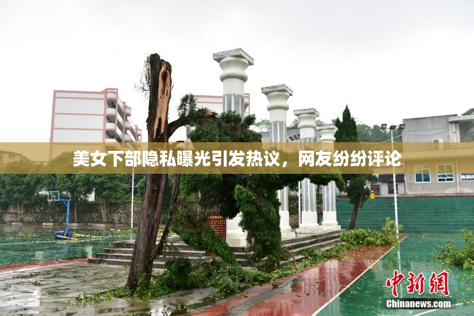美女下部隐私曝光引发热议，网友纷纷评论