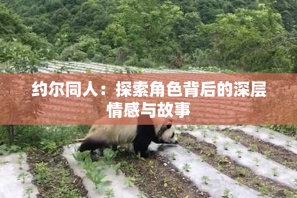 约尔同人：探索角色背后的深层情感与故事