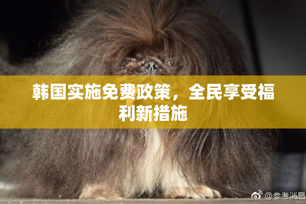 韩国实施免费政策，全民享受福利新措施