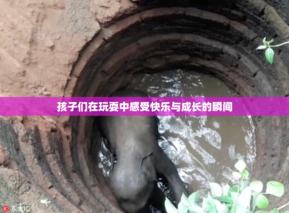 孩子们在玩耍中感受快乐与成长的瞬间