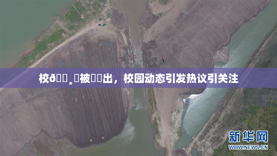 校🌸‌被❌‌出，校园动态引发热议引关注