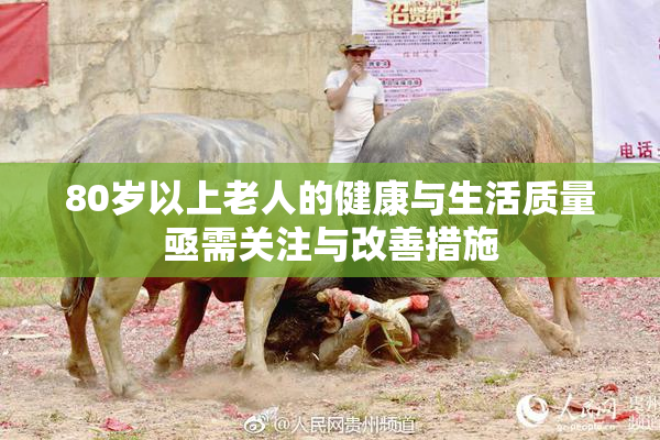 80岁以上老人的健康与生活质量亟需关注与改善措施