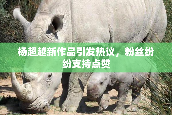 杨超越新作品引发热议，粉丝纷纷支持点赞