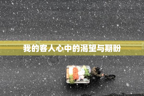 我的客人心中的渴望与期盼