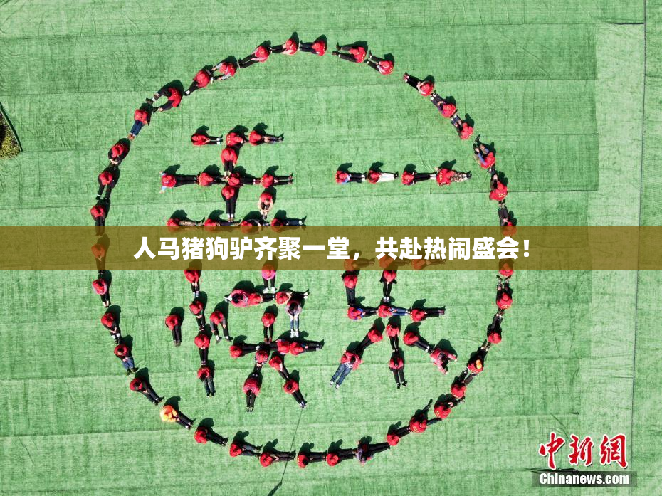 人马猪狗驴齐聚一堂，共赴热闹盛会！