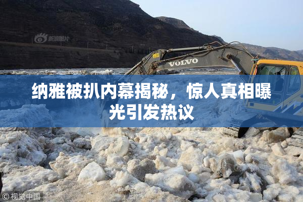 纳雅被扒内幕揭秘，惊人真相曝光引发热议