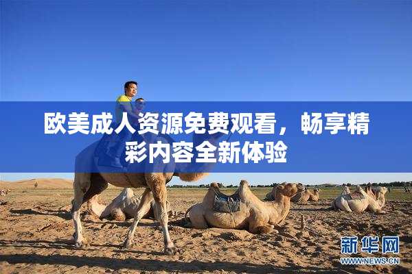 欧美成人资源免费观看，畅享精彩内容全新体验