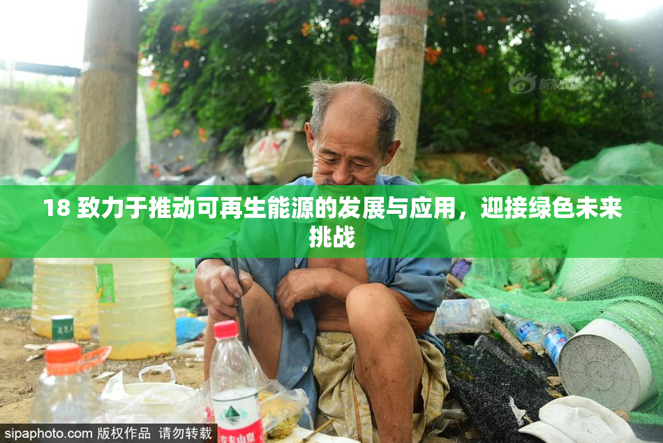 18 致力于推动可再生能源的发展与应用，迎接绿色未来挑战