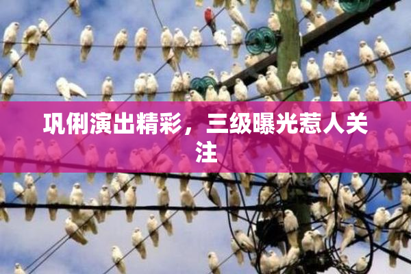 巩俐演出精彩，三级曝光惹人关注