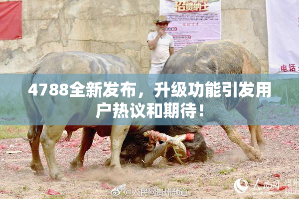 4788全新发布，升级功能引发用户热议和期待！