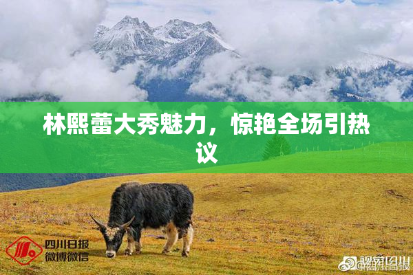 林熙蕾大秀魅力，惊艳全场引热议
