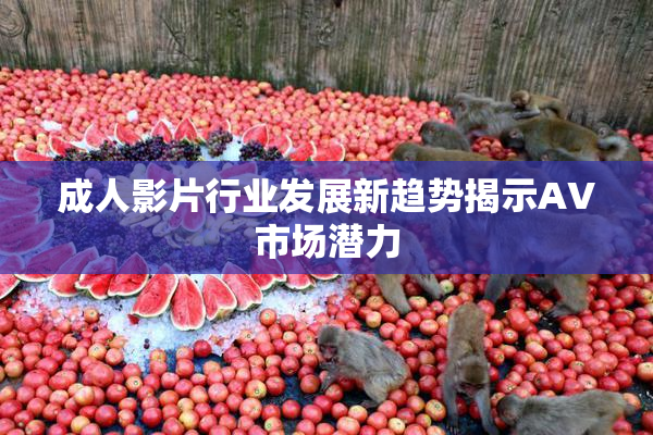 成人影片行业发展新趋势揭示AV市场潜力