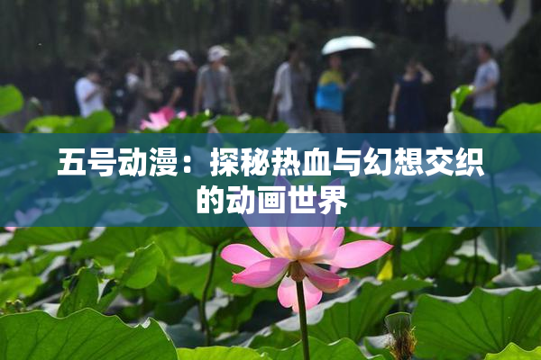 五号动漫：探秘热血与幻想交织的动画世界