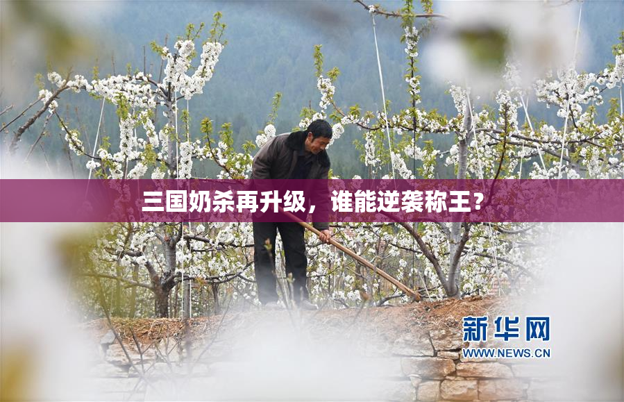 三国奶杀再升级，谁能逆袭称王？
