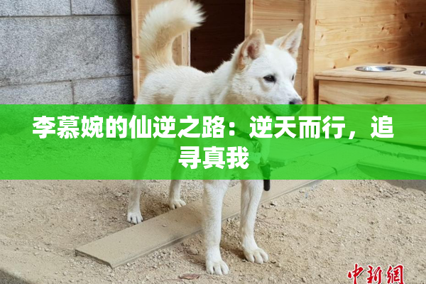 李慕婉的仙逆之路：逆天而行，追寻真我