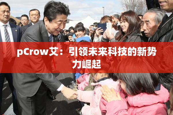pCrow艾：引领未来科技的新势力崛起