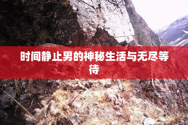 时间静止男的神秘生活与无尽等待