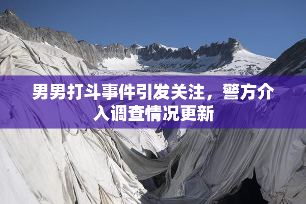 男男打斗事件引发关注，警方介入调查情况更新