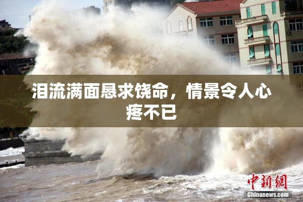 泪流满面恳求饶命，情景令人心疼不已