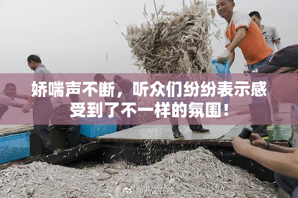 娇喘声不断，听众们纷纷表示感受到了不一样的氛围！