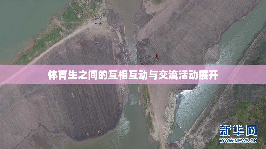 体育生之间的互相互动与交流活动展开
