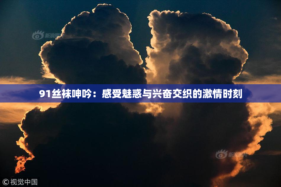 91丝袜呻吟：感受魅惑与兴奋交织的激情时刻