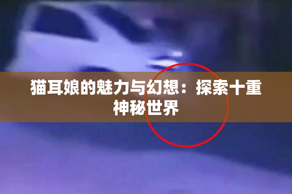 猫耳娘的魅力与幻想：探索十重神秘世界