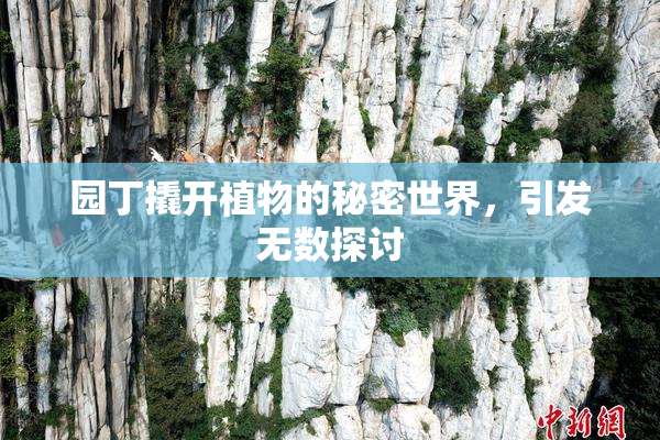 园丁撬开植物的秘密世界，引发无数探讨