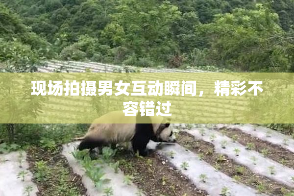 现场拍摄男女互动瞬间，精彩不容错过