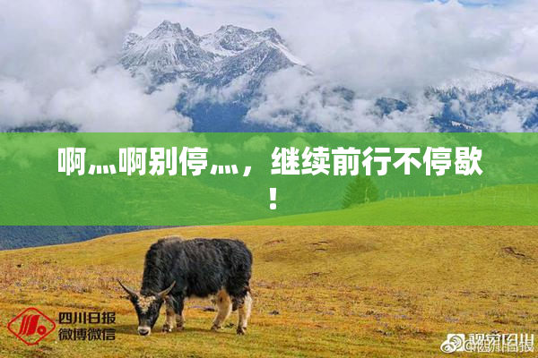 啊灬啊别停灬，继续前行不停歇！