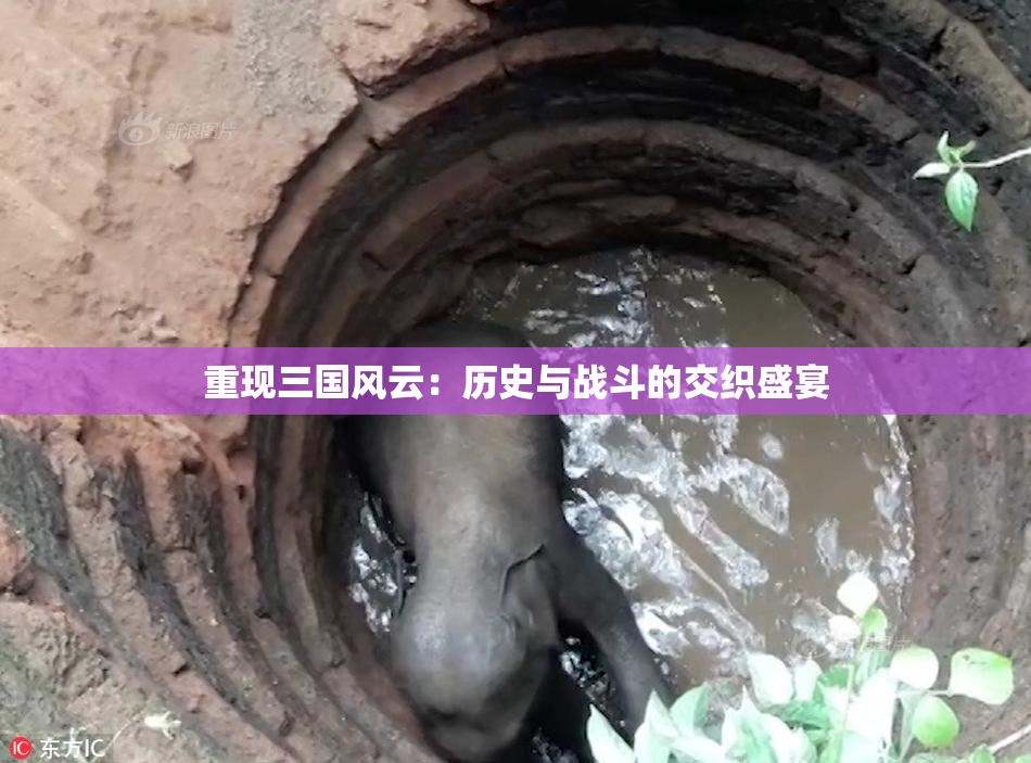 重现三国风云：历史与战斗的交织盛宴