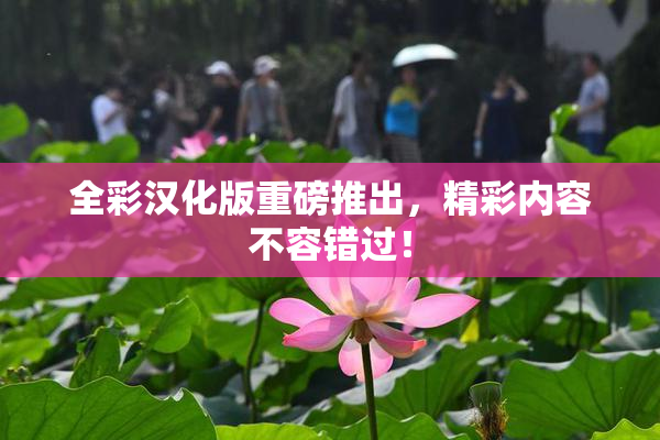 全彩汉化版重磅推出，精彩内容不容错过！