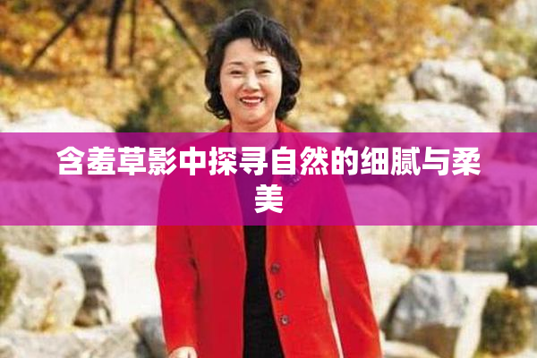 含羞草影中探寻自然的细腻与柔美