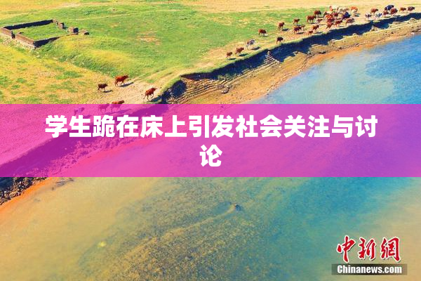 学生跪在床上引发社会关注与讨论