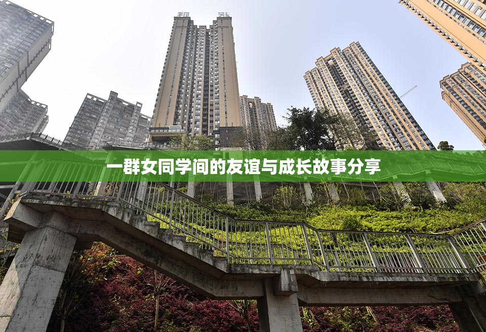 一群女同学间的友谊与成长故事分享